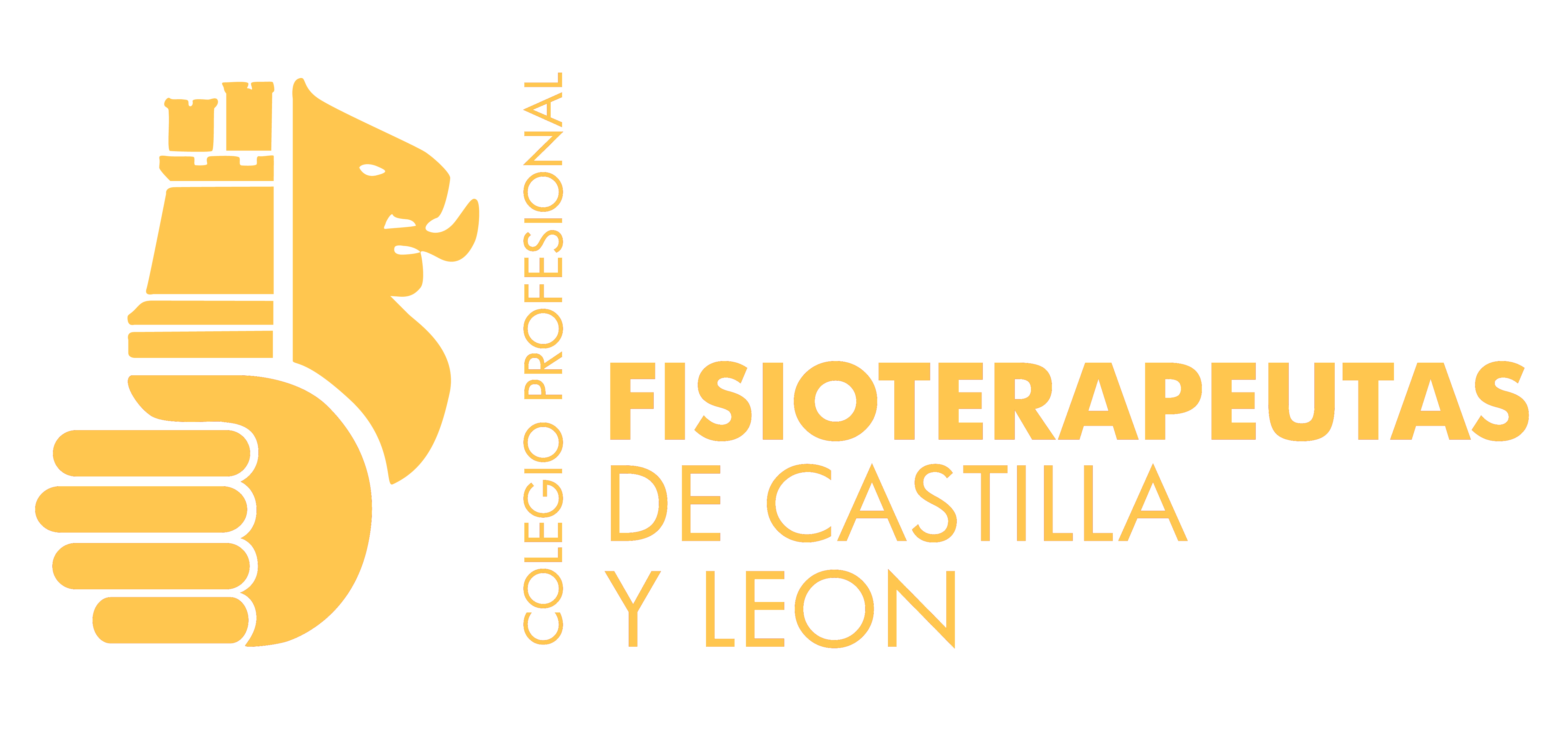 COLEGIO PROFESIONAL DE FISIOTERAPEUTAS DE CASTILLA Y LEÓN