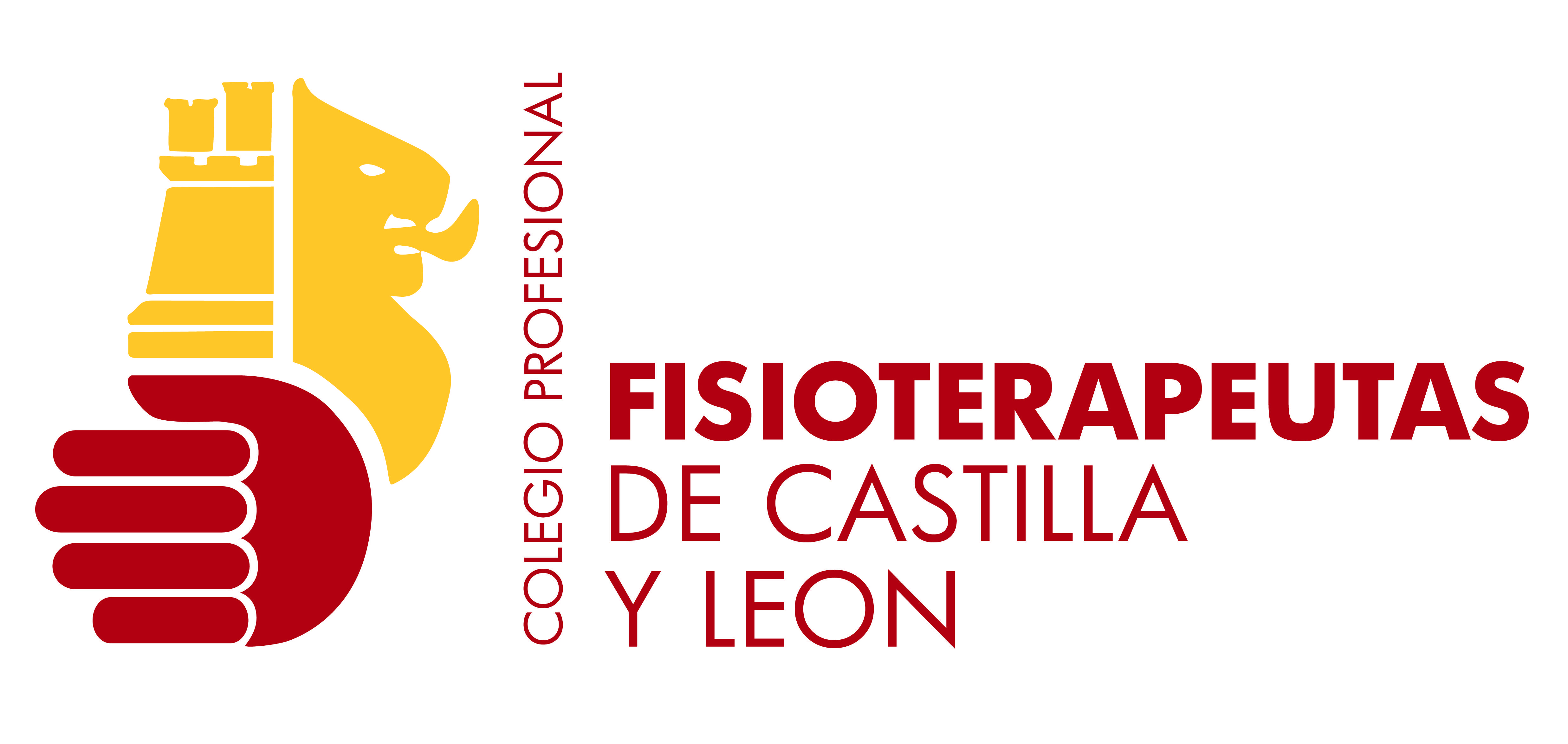 COLEGIO PROFESIONAL DE FISIOTERAPEUTAS DE CASTILLA Y LEÓN